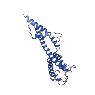 34373_8gym_2G_v1-0
Cryo-EM structure of Tetrahymena thermophila respiratory mega-complex MC IV2+(I+III2+II)2