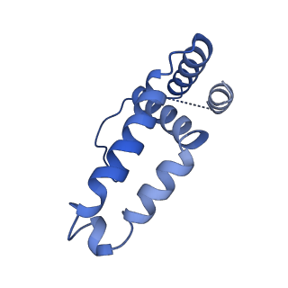 34373_8gym_2H_v1-0
Cryo-EM structure of Tetrahymena thermophila respiratory mega-complex MC IV2+(I+III2+II)2