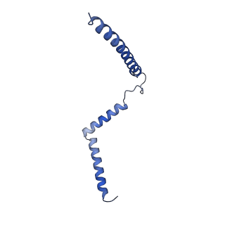 34373_8gym_2J_v1-0
Cryo-EM structure of Tetrahymena thermophila respiratory mega-complex MC IV2+(I+III2+II)2