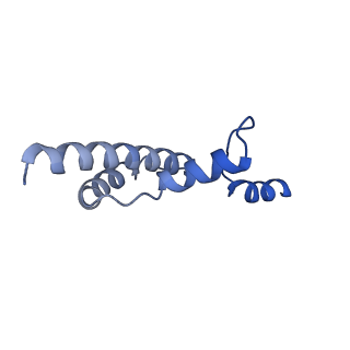 34373_8gym_2L_v1-0
Cryo-EM structure of Tetrahymena thermophila respiratory mega-complex MC IV2+(I+III2+II)2