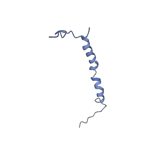 34373_8gym_2N_v1-0
Cryo-EM structure of Tetrahymena thermophila respiratory mega-complex MC IV2+(I+III2+II)2