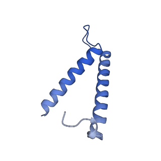 34373_8gym_2T_v1-0
Cryo-EM structure of Tetrahymena thermophila respiratory mega-complex MC IV2+(I+III2+II)2