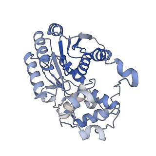 34373_8gym_2e_v1-0
Cryo-EM structure of Tetrahymena thermophila respiratory mega-complex MC IV2+(I+III2+II)2