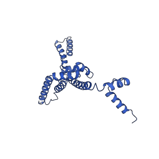 34373_8gym_2f_v1-0
Cryo-EM structure of Tetrahymena thermophila respiratory mega-complex MC IV2+(I+III2+II)2