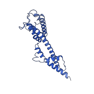 34373_8gym_2g_v1-0
Cryo-EM structure of Tetrahymena thermophila respiratory mega-complex MC IV2+(I+III2+II)2
