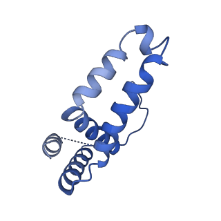 34373_8gym_2h_v1-0
Cryo-EM structure of Tetrahymena thermophila respiratory mega-complex MC IV2+(I+III2+II)2