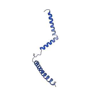 34373_8gym_2j_v1-0
Cryo-EM structure of Tetrahymena thermophila respiratory mega-complex MC IV2+(I+III2+II)2