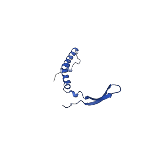 34373_8gym_2k_v1-0
Cryo-EM structure of Tetrahymena thermophila respiratory mega-complex MC IV2+(I+III2+II)2