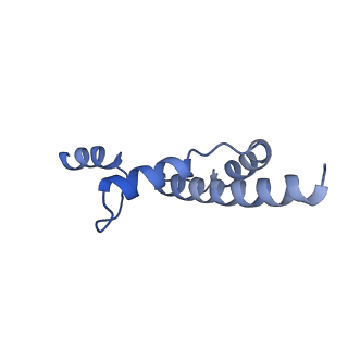 34373_8gym_2l_v1-0
Cryo-EM structure of Tetrahymena thermophila respiratory mega-complex MC IV2+(I+III2+II)2