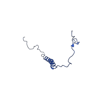34373_8gym_2m_v1-0
Cryo-EM structure of Tetrahymena thermophila respiratory mega-complex MC IV2+(I+III2+II)2
