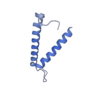 34373_8gym_2t_v1-0
Cryo-EM structure of Tetrahymena thermophila respiratory mega-complex MC IV2+(I+III2+II)2