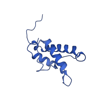 34373_8gym_4A_v1-0
Cryo-EM structure of Tetrahymena thermophila respiratory mega-complex MC IV2+(I+III2+II)2