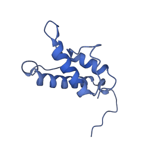 34373_8gym_4a_v1-0
Cryo-EM structure of Tetrahymena thermophila respiratory mega-complex MC IV2+(I+III2+II)2