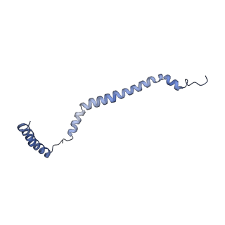 34373_8gym_5B_v1-0
Cryo-EM structure of Tetrahymena thermophila respiratory mega-complex MC IV2+(I+III2+II)2