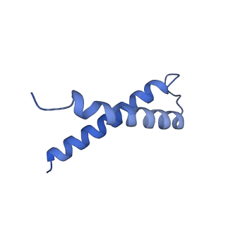 34373_8gym_5T_v1-0
Cryo-EM structure of Tetrahymena thermophila respiratory mega-complex MC IV2+(I+III2+II)2