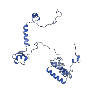 34373_8gym_6B_v1-0
Cryo-EM structure of Tetrahymena thermophila respiratory mega-complex MC IV2+(I+III2+II)2