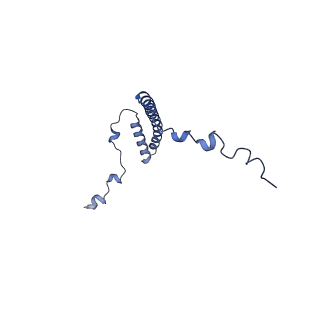 34373_8gym_6a_v1-0
Cryo-EM structure of Tetrahymena thermophila respiratory mega-complex MC IV2+(I+III2+II)2