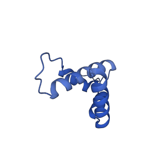 34373_8gym_6l_v1-0
Cryo-EM structure of Tetrahymena thermophila respiratory mega-complex MC IV2+(I+III2+II)2