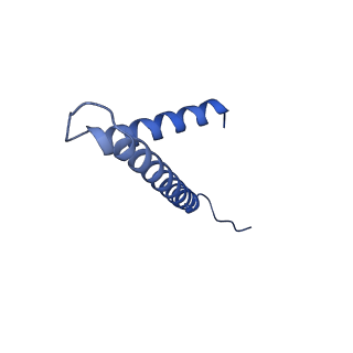 34373_8gym_6t_v1-0
Cryo-EM structure of Tetrahymena thermophila respiratory mega-complex MC IV2+(I+III2+II)2