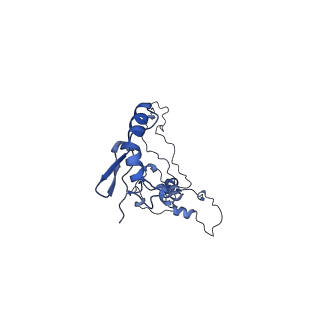 34373_8gym_7C_v1-0
Cryo-EM structure of Tetrahymena thermophila respiratory mega-complex MC IV2+(I+III2+II)2