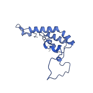 34373_8gym_7L_v1-0
Cryo-EM structure of Tetrahymena thermophila respiratory mega-complex MC IV2+(I+III2+II)2