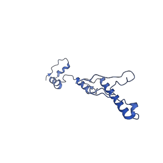 34373_8gym_7a_v1-0
Cryo-EM structure of Tetrahymena thermophila respiratory mega-complex MC IV2+(I+III2+II)2