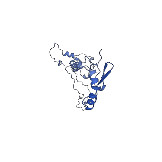 34373_8gym_7c_v1-0
Cryo-EM structure of Tetrahymena thermophila respiratory mega-complex MC IV2+(I+III2+II)2