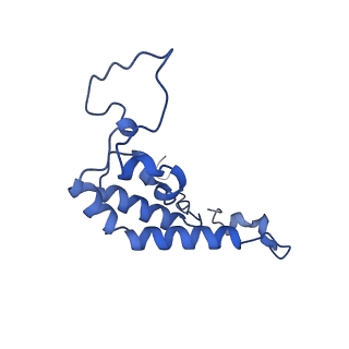 34373_8gym_7l_v1-0
Cryo-EM structure of Tetrahymena thermophila respiratory mega-complex MC IV2+(I+III2+II)2