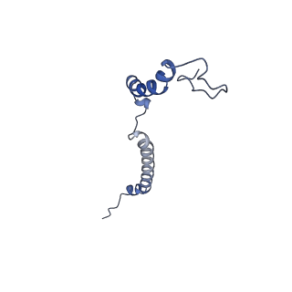 34373_8gym_A1_v1-0
Cryo-EM structure of Tetrahymena thermophila respiratory mega-complex MC IV2+(I+III2+II)2