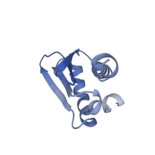 34373_8gym_A2_v1-0
Cryo-EM structure of Tetrahymena thermophila respiratory mega-complex MC IV2+(I+III2+II)2