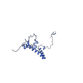 34373_8gym_A3_v1-0
Cryo-EM structure of Tetrahymena thermophila respiratory mega-complex MC IV2+(I+III2+II)2