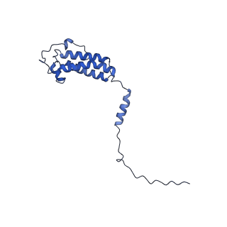 34373_8gym_A5_v1-0
Cryo-EM structure of Tetrahymena thermophila respiratory mega-complex MC IV2+(I+III2+II)2