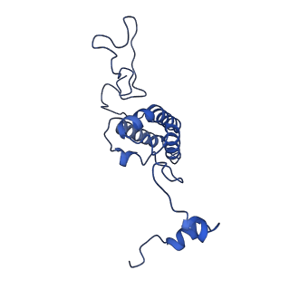 34373_8gym_A6_v1-0
Cryo-EM structure of Tetrahymena thermophila respiratory mega-complex MC IV2+(I+III2+II)2