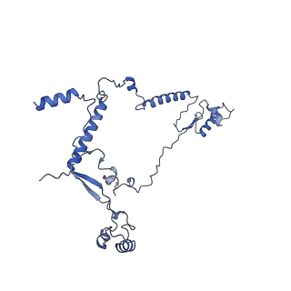 34373_8gym_A7_v1-0
Cryo-EM structure of Tetrahymena thermophila respiratory mega-complex MC IV2+(I+III2+II)2