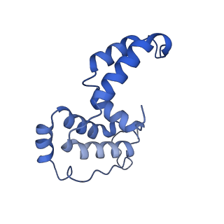 34373_8gym_A8_v1-0
Cryo-EM structure of Tetrahymena thermophila respiratory mega-complex MC IV2+(I+III2+II)2