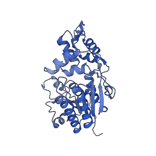 34373_8gym_A9_v1-0
Cryo-EM structure of Tetrahymena thermophila respiratory mega-complex MC IV2+(I+III2+II)2