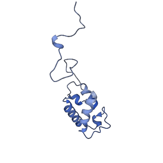 34373_8gym_AB_v1-0
Cryo-EM structure of Tetrahymena thermophila respiratory mega-complex MC IV2+(I+III2+II)2