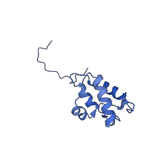 34373_8gym_AC_v1-0
Cryo-EM structure of Tetrahymena thermophila respiratory mega-complex MC IV2+(I+III2+II)2