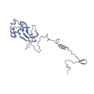 34373_8gym_AL_v1-0
Cryo-EM structure of Tetrahymena thermophila respiratory mega-complex MC IV2+(I+III2+II)2
