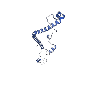 34373_8gym_AM_v1-0
Cryo-EM structure of Tetrahymena thermophila respiratory mega-complex MC IV2+(I+III2+II)2