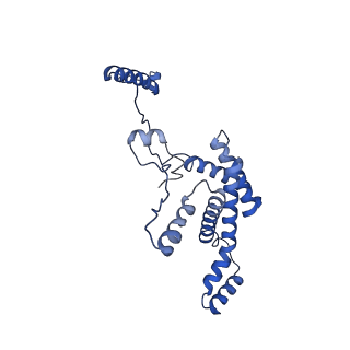 34373_8gym_AN_v1-0
Cryo-EM structure of Tetrahymena thermophila respiratory mega-complex MC IV2+(I+III2+II)2