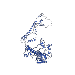 34373_8gym_A_v1-0
Cryo-EM structure of Tetrahymena thermophila respiratory mega-complex MC IV2+(I+III2+II)2