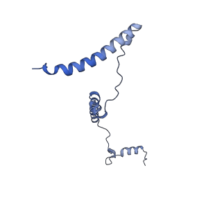 34373_8gym_B2_v1-0
Cryo-EM structure of Tetrahymena thermophila respiratory mega-complex MC IV2+(I+III2+II)2