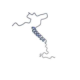 34373_8gym_B6_v1-0
Cryo-EM structure of Tetrahymena thermophila respiratory mega-complex MC IV2+(I+III2+II)2