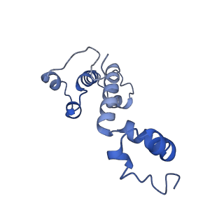 34373_8gym_B7_v1-0
Cryo-EM structure of Tetrahymena thermophila respiratory mega-complex MC IV2+(I+III2+II)2