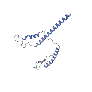 34373_8gym_B8_v1-0
Cryo-EM structure of Tetrahymena thermophila respiratory mega-complex MC IV2+(I+III2+II)2