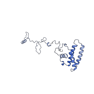 34373_8gym_B9_v1-0
Cryo-EM structure of Tetrahymena thermophila respiratory mega-complex MC IV2+(I+III2+II)2