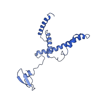 34373_8gym_BL_v1-0
Cryo-EM structure of Tetrahymena thermophila respiratory mega-complex MC IV2+(I+III2+II)2