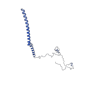 34373_8gym_BM_v1-0
Cryo-EM structure of Tetrahymena thermophila respiratory mega-complex MC IV2+(I+III2+II)2