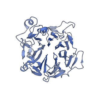 34373_8gym_BP_v1-0
Cryo-EM structure of Tetrahymena thermophila respiratory mega-complex MC IV2+(I+III2+II)2